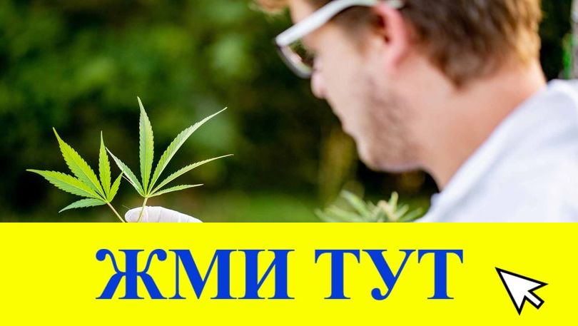 Купить наркотики в Тихорецке